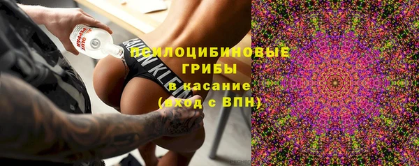 apvp Абаза