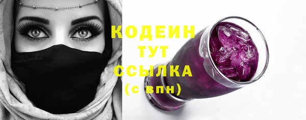 индика Алзамай