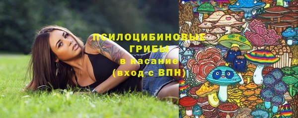 индика Алзамай
