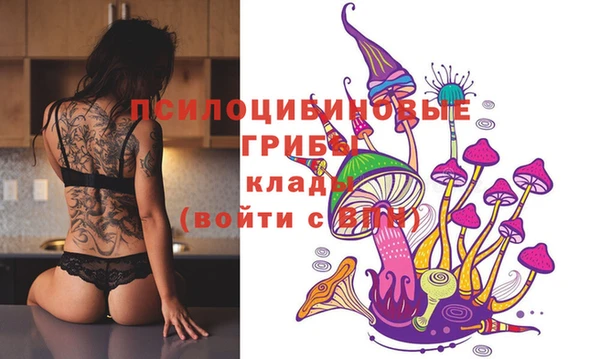 apvp Абаза