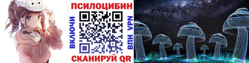 darknet состав  Петров Вал  Галлюциногенные грибы Psilocybe 